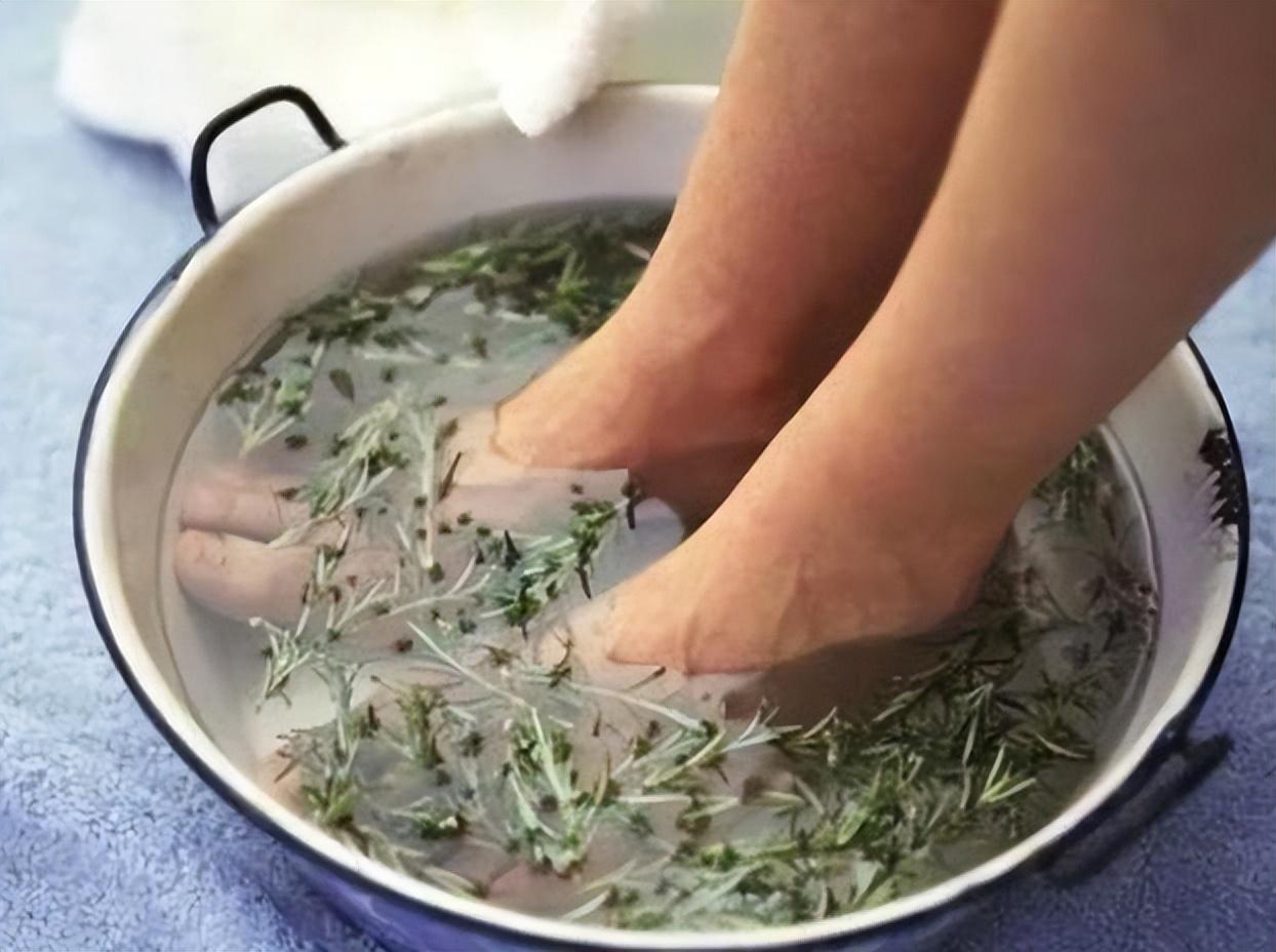 艾叶泡脚：赶走风湿，守护健康？一文读懂