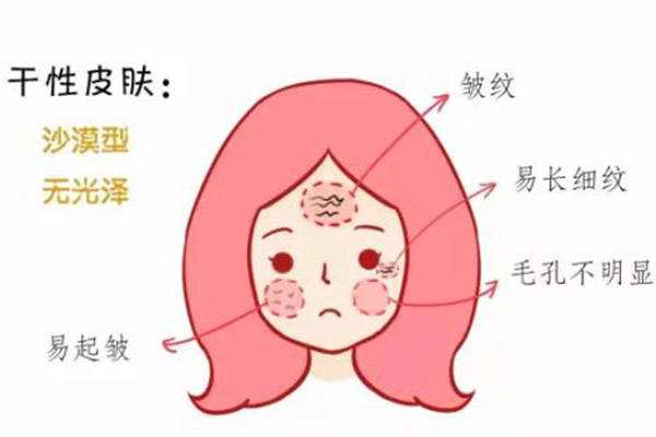 干皮救星！保湿力爆表的化妆水大揭秘