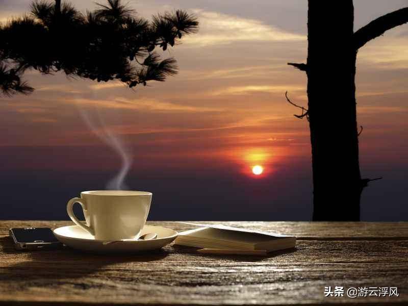 秋茶大赏：这些茶让你温暖过金秋