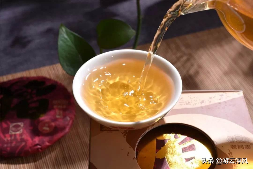 秋茶指南：解锁秋日专属的温润滋味