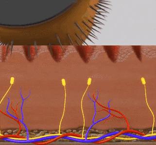 薄皮星人自救指南！角质层修复秘籍大公开